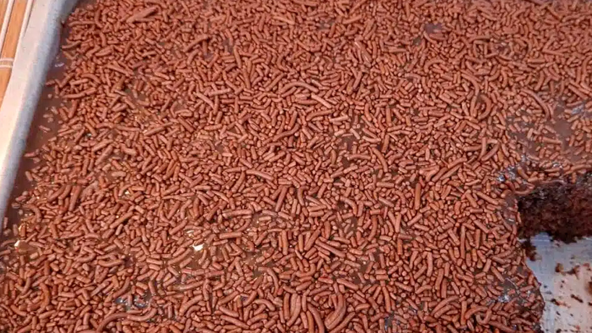 Receita de Bolo de Chocolate Simples